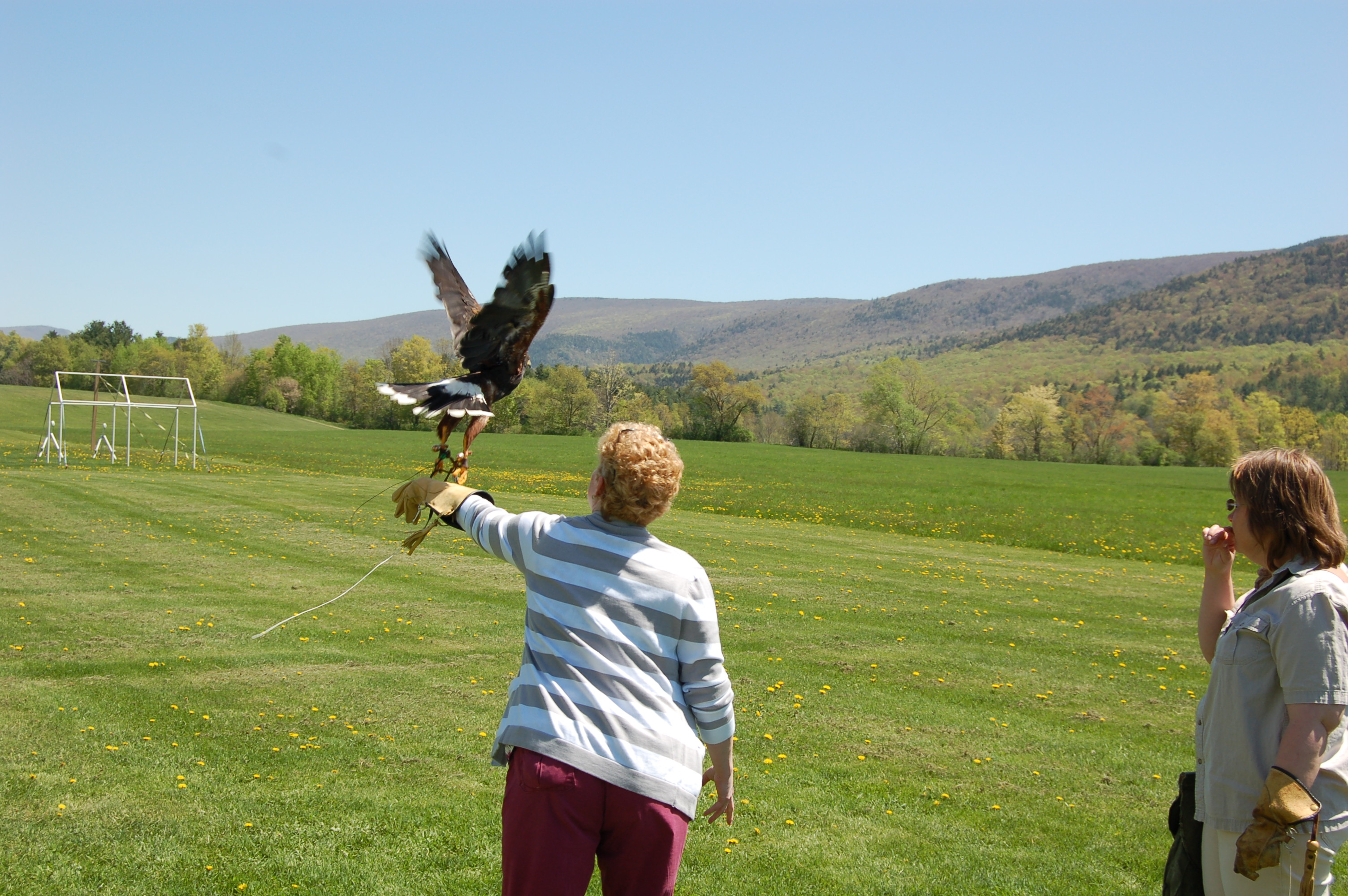 freedom, movement, activites,
                              wellness, life